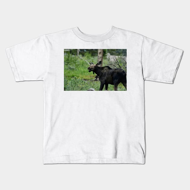 Smiling Moose Kids T-Shirt by Leslie Pino Durant